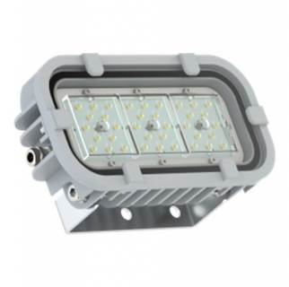 Светодиодный светильник FWL 31-21-850-F30